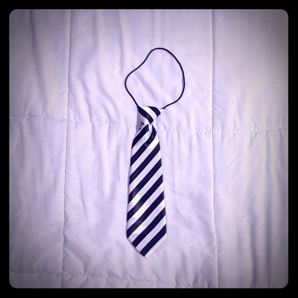 Black and White stripes satin tie